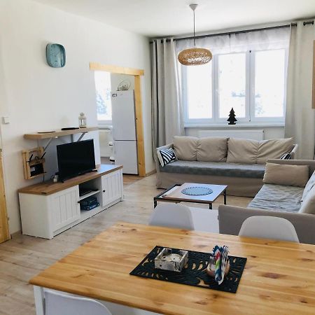Apartman Orlicke Zahori 外观 照片