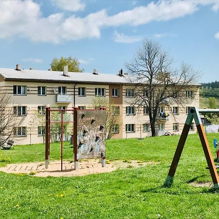 Apartman Orlicke Zahori 外观 照片