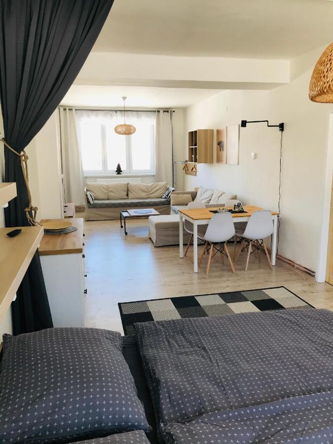 Apartman Orlicke Zahori 外观 照片