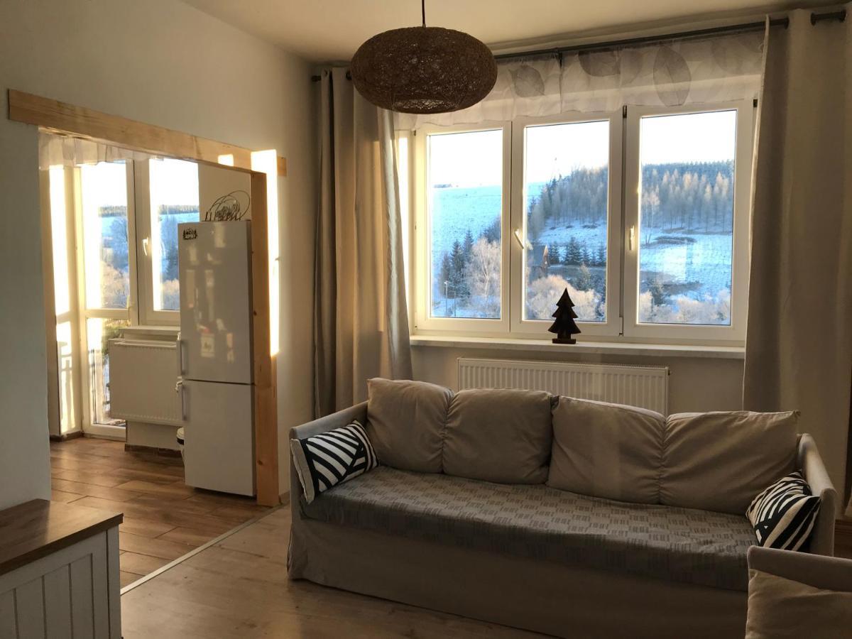 Apartman Orlicke Zahori 外观 照片