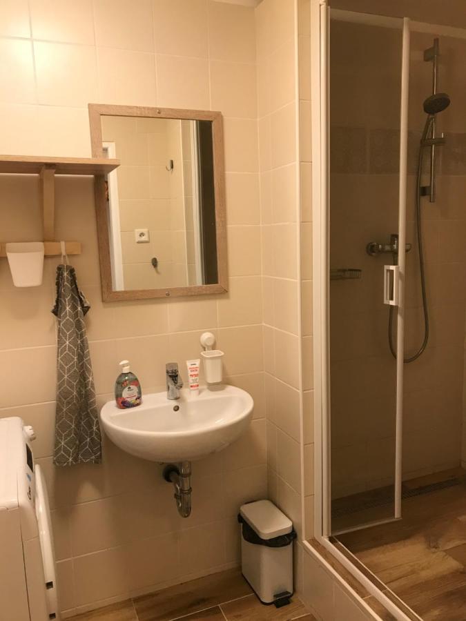 Apartman Orlicke Zahori 外观 照片