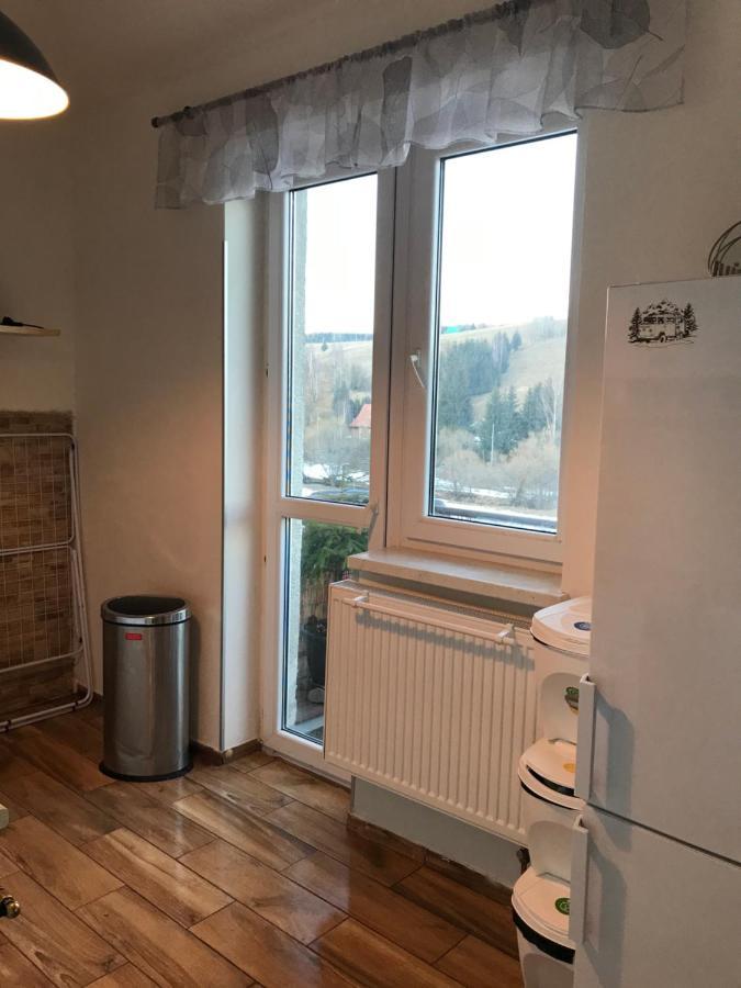 Apartman Orlicke Zahori 外观 照片