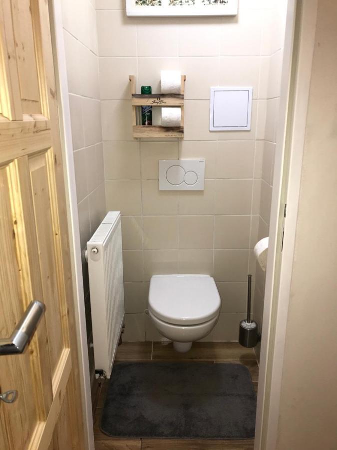 Apartman Orlicke Zahori 外观 照片