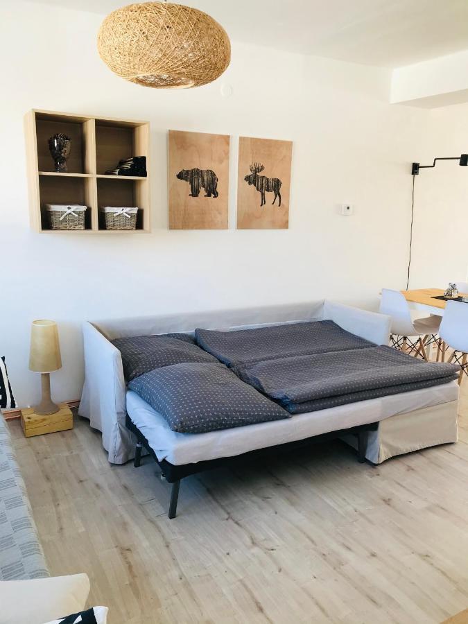 Apartman Orlicke Zahori 外观 照片