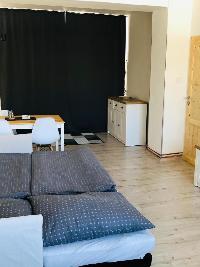Apartman Orlicke Zahori 外观 照片
