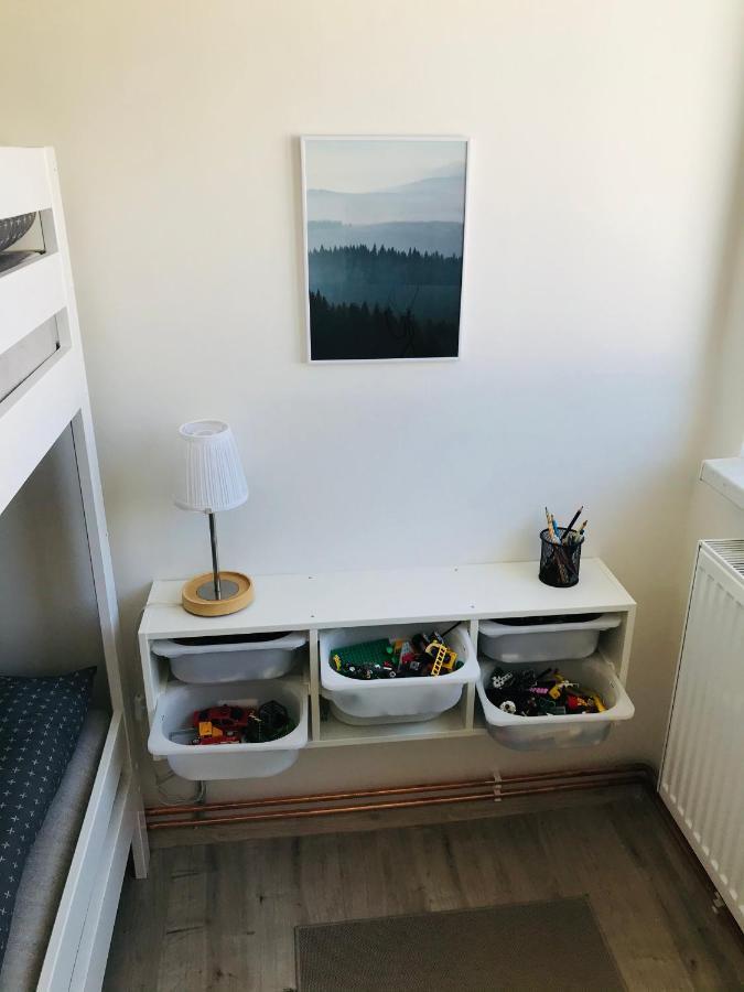 Apartman Orlicke Zahori 外观 照片