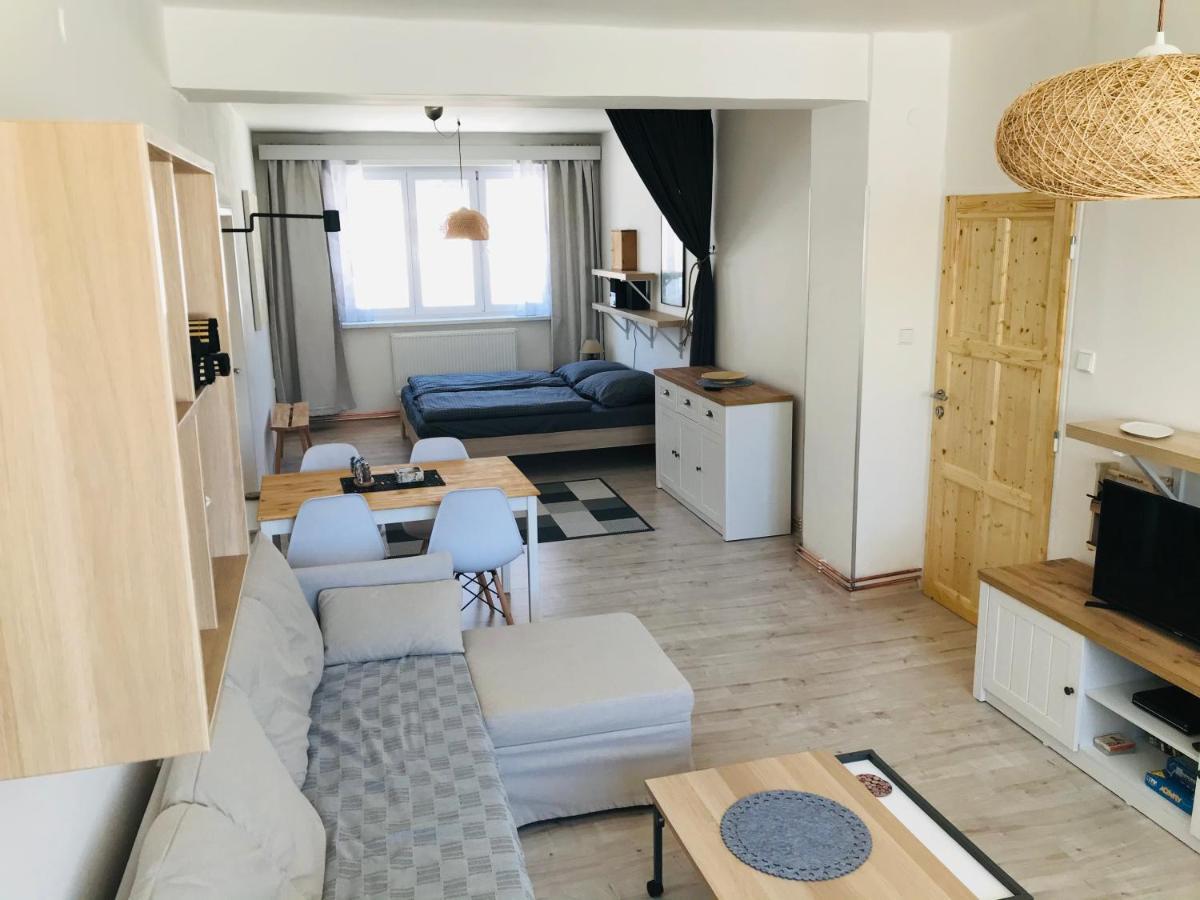 Apartman Orlicke Zahori 外观 照片