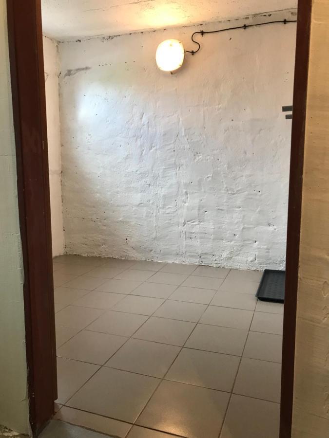 Apartman Orlicke Zahori 外观 照片